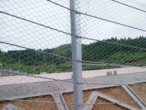 钢性护栏网 - 河北川鑫边坡防护工程有限公司图片4