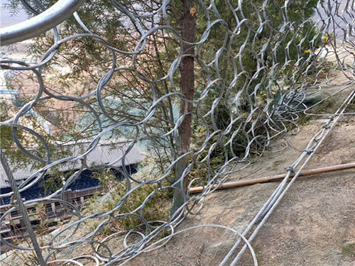 被动环形网 - 河北川鑫边坡防护工程有限公司图片4