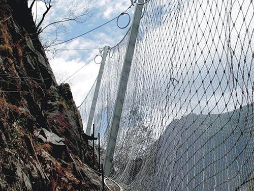 菱形被动网 - 河北川鑫边坡防护工程有限公司图片2