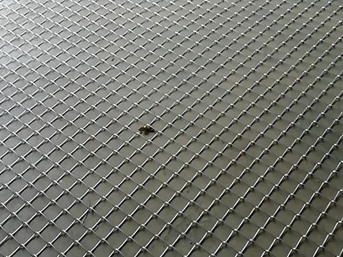 高强度格栅网 - 河北川鑫边坡防护工程有限公司图片4