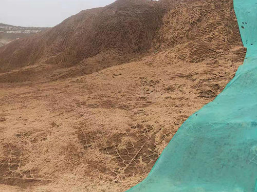 客土喷播 - 河北川鑫边坡防护工程有限公司图片3