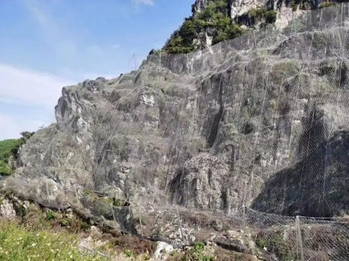 张口式帘式网 - 河北川鑫边坡防护工程有限公司图片4